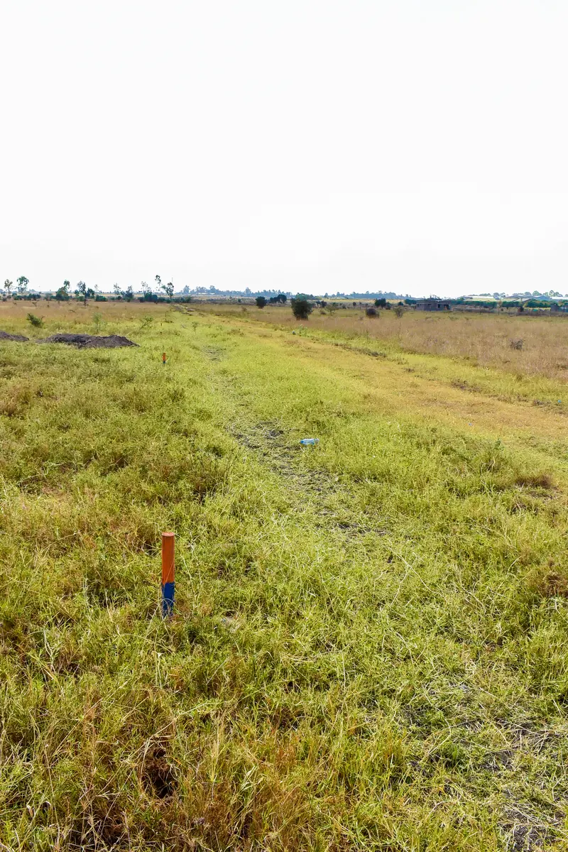 An internal road with a plot beacon
