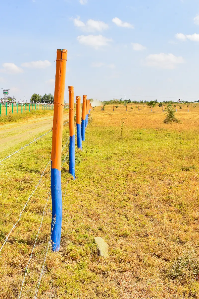 The perimeter fence