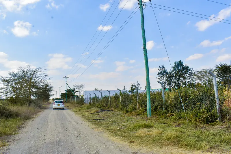 The murram access road, with power lines