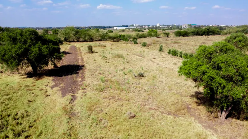 A road running between the plots