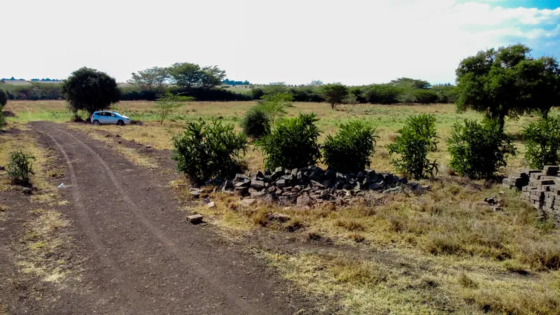 The access road and boundary markers