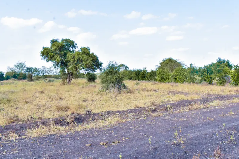 On the ground along the internal road