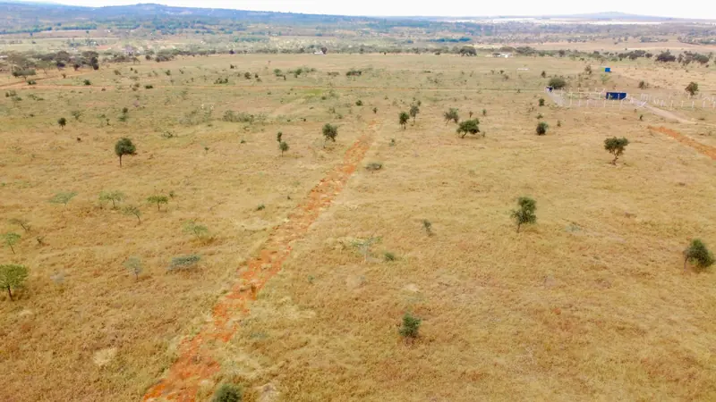 An internal road cut through the plots