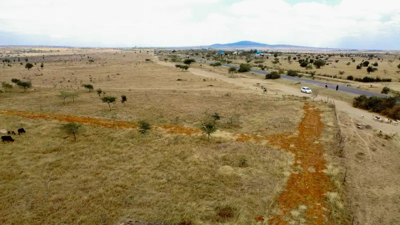 Plots along the main road