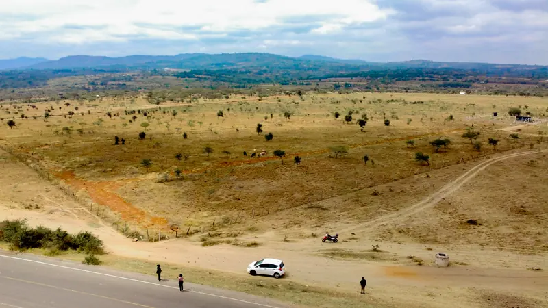 Nearby: the hills behind the site