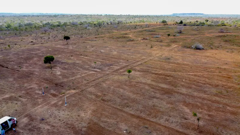 The plots and their boundary lines
