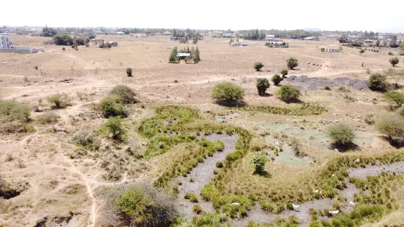 Neemah Gardens, Malaa