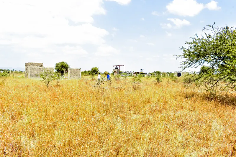Nearby: neighbouring homes
