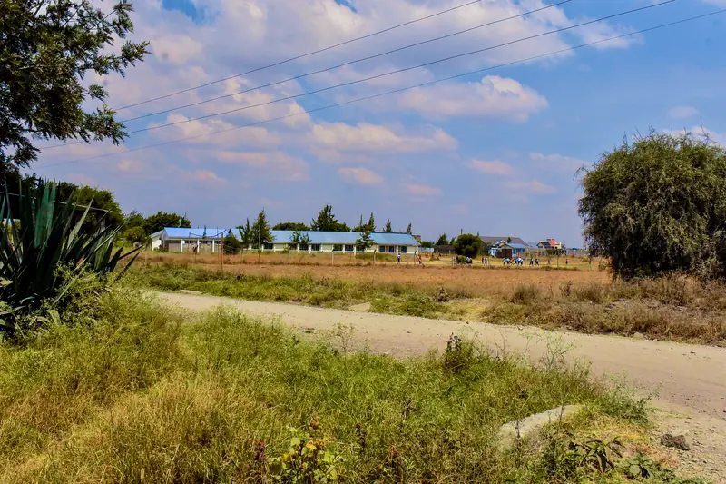 The access road