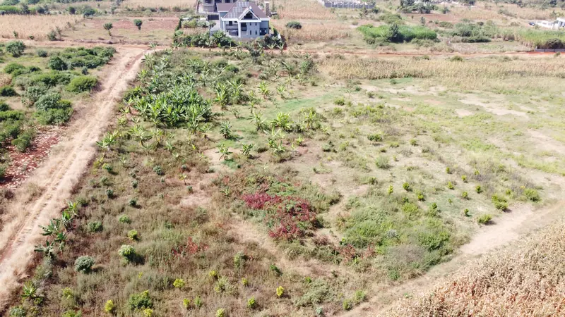 Ruiru Plots, Block F, Ruiru