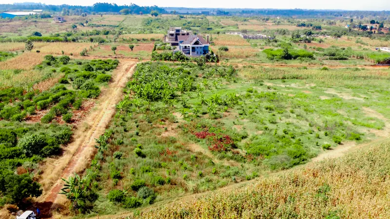 Ruiru Plots, Block C, Ruiru