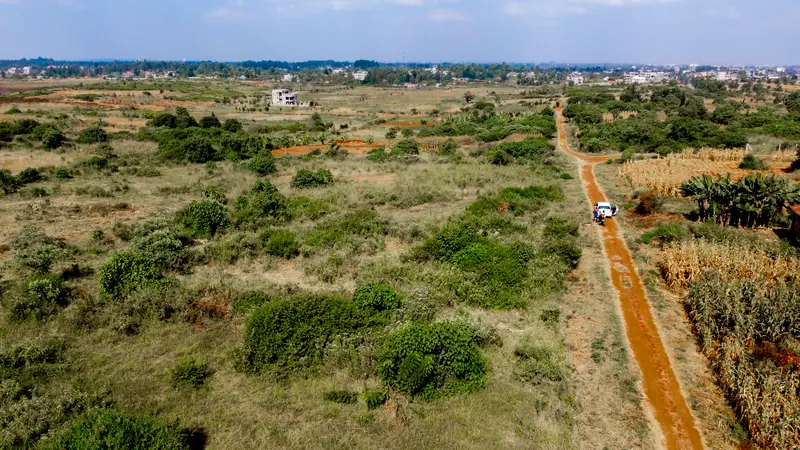 A road through the plots