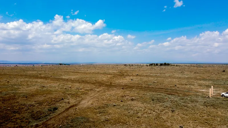 Wide view of the plots