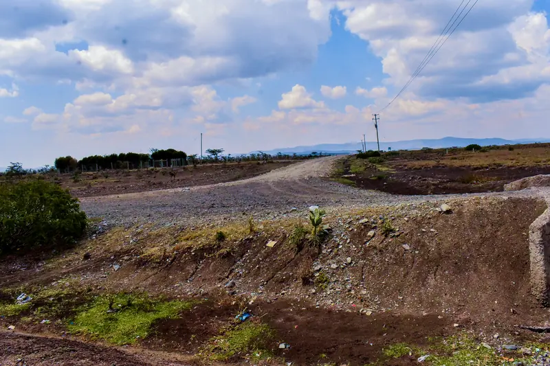 The access road, with the hills behind