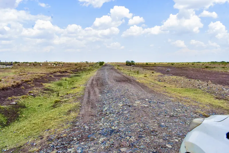 A road between the plots