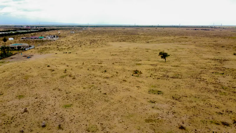 Wide view of the plots