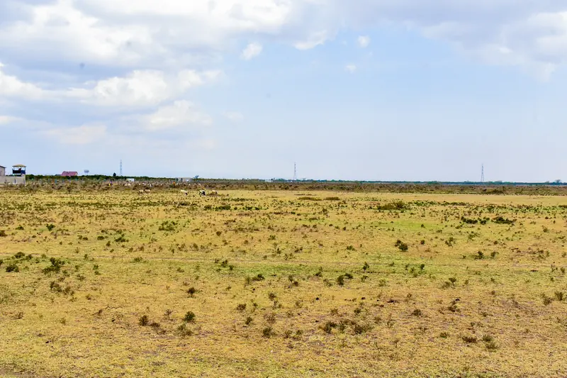 The plots on the ground