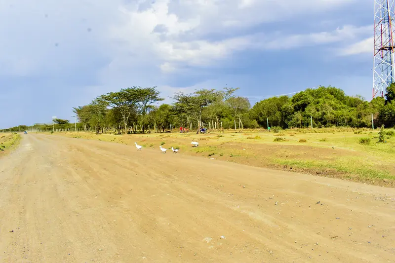 The murram access road